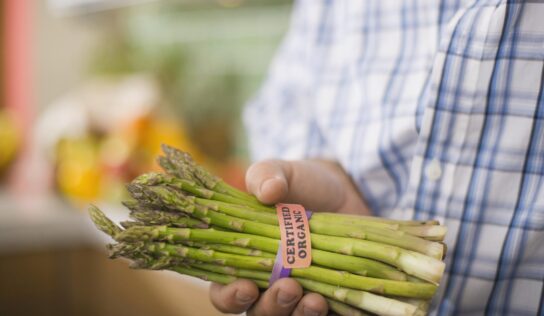 Why Food Reformers Have Mixed Feelings About Eco-Labels