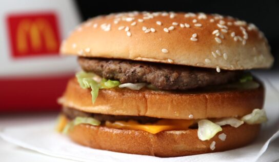 Food review: Battle of the meatless fast-food burgers