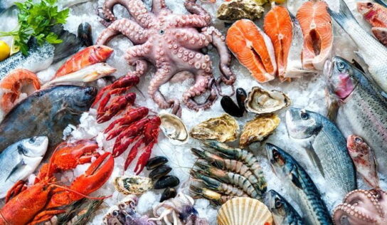 Processed Seafood & Seafood Processing Equipment Market Research