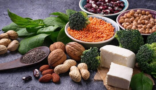 Plant Protein Market – Growth, Size, Share, Forecast, enterprise Analysis 2018 – 2026