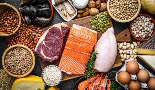 Single Cell Protein Market to Register a Stout Growth by using End 2019 – 2029