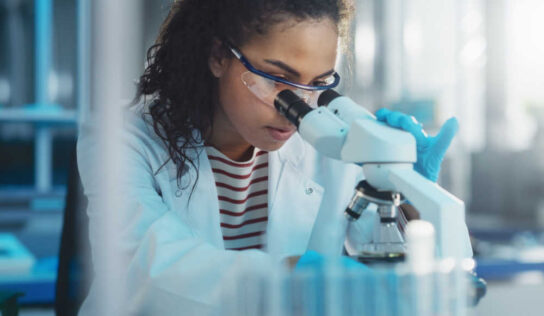 Scientists broaden ‘fantastic spud’ in a bid to prevent stunting