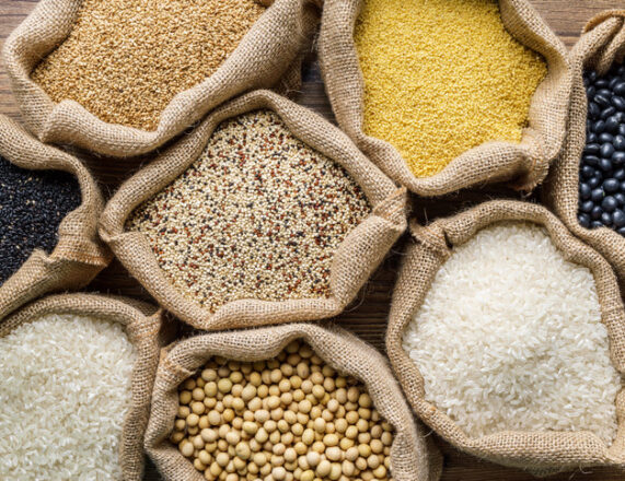 What the Future Holds for Organic Products in India ‘