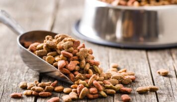 The Best Low-Protein Dog Food (Review) in 2019