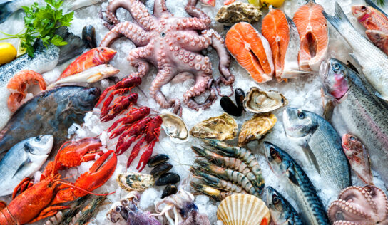 Here’s What Austevoll Seafood ASA’s (OB:AUSS) P/E Ratio Is Telling Us