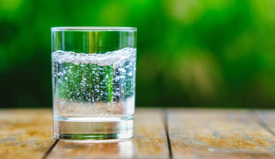 The Bitter Truth About Seltzer Drinking